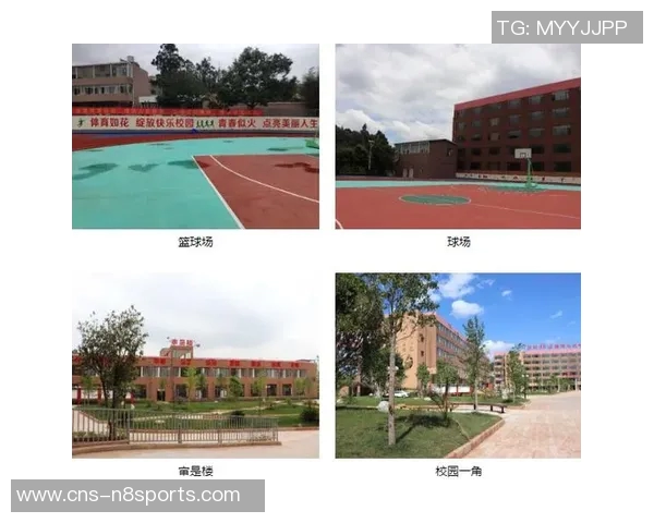 博雅体育俱乐部的服务质量和设施环境全面评测与用户体验分享